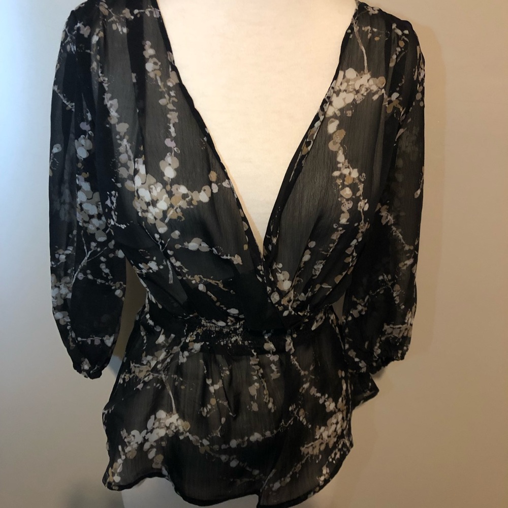 Sheer Chiffon Blouse